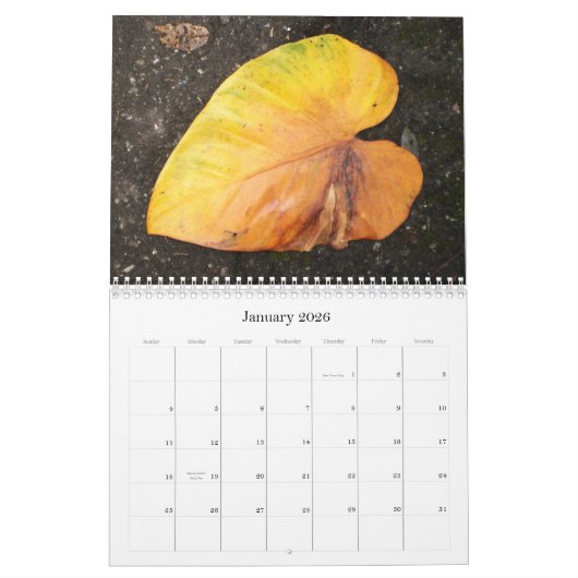 Caraïbische kleur...The Flowers Calender 2009 Kalender (Jan 2026)