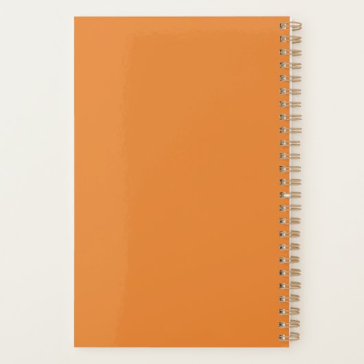 Caraïbische kleuren planner (Achterkant)