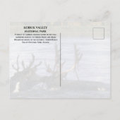 Caraïbische migratie over de Kobuk-rivier, Alaska Briefkaart (Achterkant)