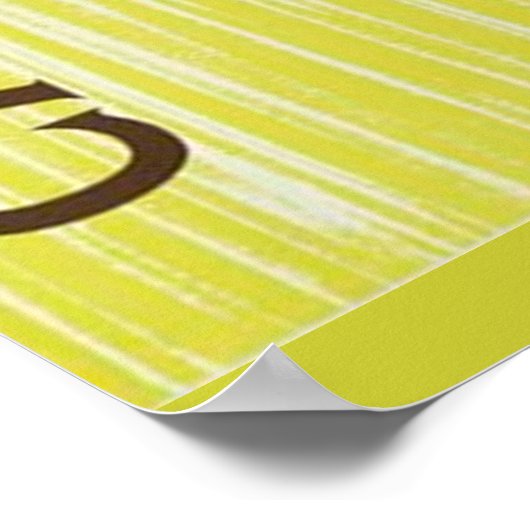 Caraïbische reisposter poster (Hoek)