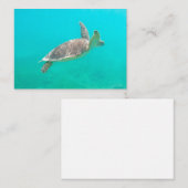 caraïbische schildpad notitiekaartje (Voorkant / Achterkant)