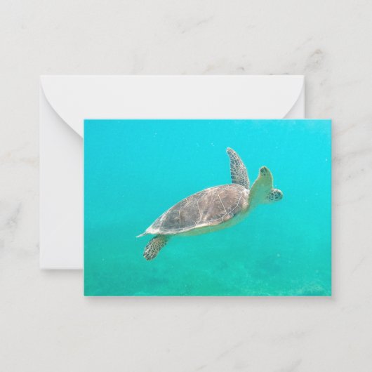 caraïbische schildpad notitiekaartje (Voorkant)