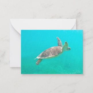 caraïbische schildpad notitiekaartje