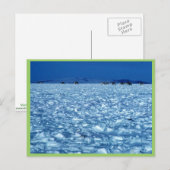 Caraïbische sneeuwpopje briefkaart (Voorkant / Achterkant)