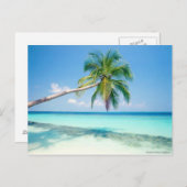 caraïbische strandkaart briefkaart (Voorkant / Achterkant)