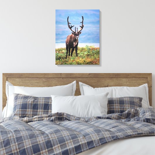 Caraïre of rendier | Nationaal park Denali, Alaska Canvas Afdruk (Insitu (Slaapkamer))