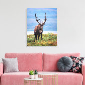 Caraïre of rendier | Nationaal park Denali, Alaska Canvas Afdruk (Insitu (Woonkamer))