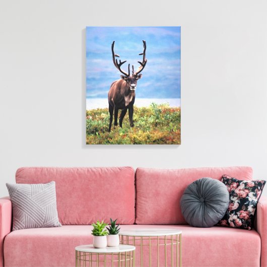 Caraïre of rendier | Nationaal park Denali, Alaska Canvas Afdruk (Insitu (Woonkamer))