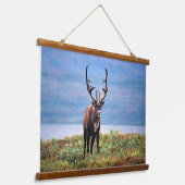 Caraïre of rendier | Nationaal park Denali, Alaska Hangend Wandkleed (Gebogen)