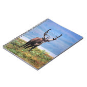 Caraïre of rendier | Nationaal park Denali, Alaska Notitieboek (Linkerzijde)