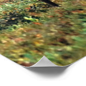 Caraïre of rendier | Nationaal park Denali, Alaska Poster (Hoek)