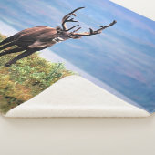 Caraïre of rendier | Nationaal park Denali, Alaska Sherpa Deken (3/4)