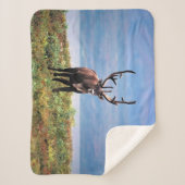 Caraïre of rendier | Nationaal park Denali, Alaska Sherpa Deken (Voorkant)