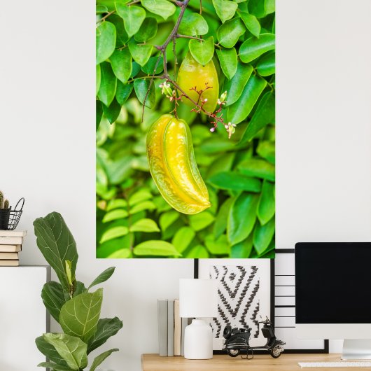 Carambola Poster (Thuiskantoor)