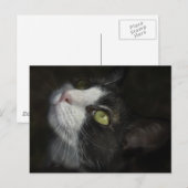 Caramel Briefkaart (Voorkant / Achterkant)