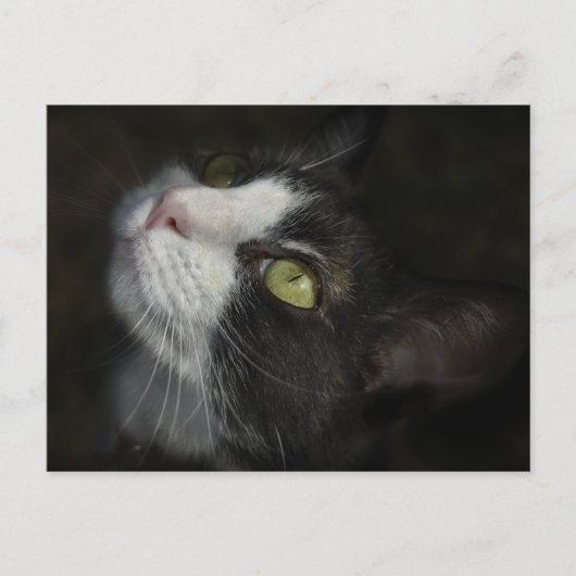 Caramel Briefkaart (Voorkant)