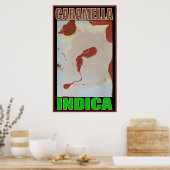 CARAMELLA INDICA POSTER (Keuken)