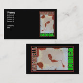 CARAMELLA INDICA VISITEKAARTJE (Voorkant / Achterkant)