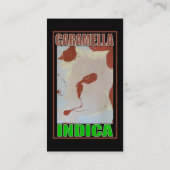 CARAMELLA INDICA VISITEKAARTJE (Achterkant)