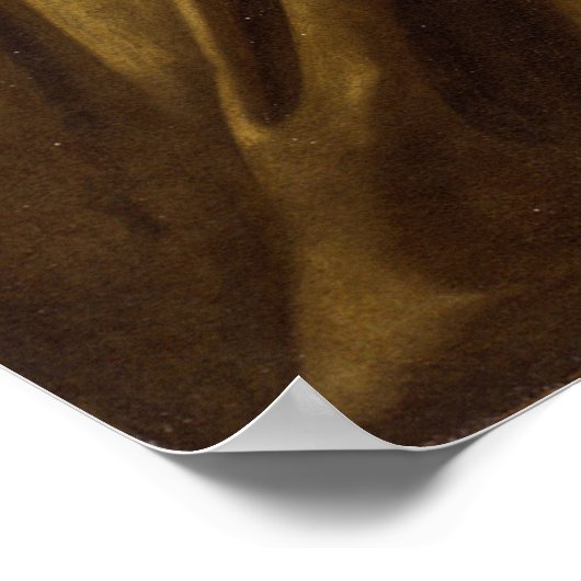 Caravaggio - Francis Prayer Poster (Hoek)