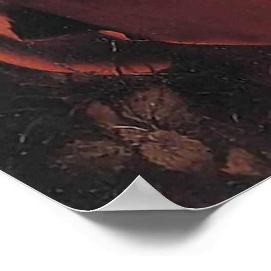 Caravaggio St John The Baptist Poster (Hoek)