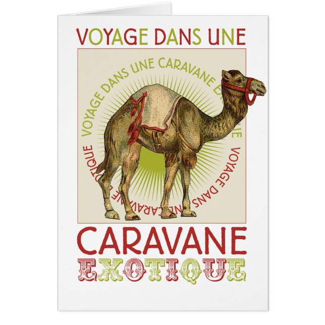 Caravan Camel (Voorkant)