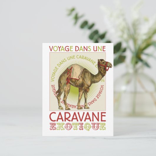 Caravan Camel Briefkaart (Staand voorkant)
