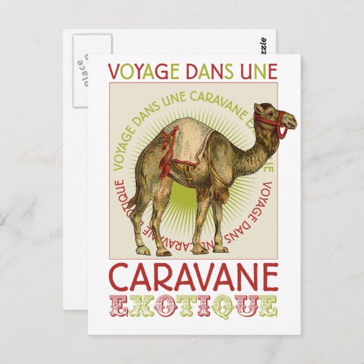 Caravan Camel Briefkaart (Voorkant / Achterkant)