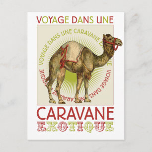 Caravan Camel Briefkaart