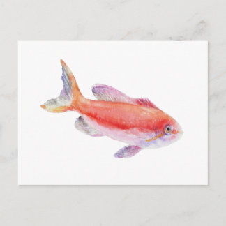Carberryi Anthias Fish Watercolor Illustration Briefkaart
