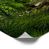 carbo deep forest 2 poster (Hoek)