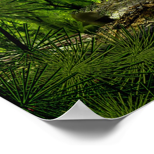 carbo deep forest 2 poster (Hoek)