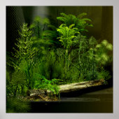 carbo deep forest 2 poster (Voorkant)