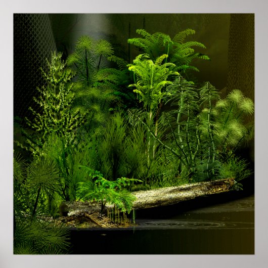 carbo deep forest 2 poster (Voorkant)