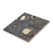 Carbonaatgesteente met fossielen tegeltje (Zijkant)