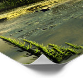 Carboniferend bos poster (Hoek)