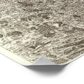 Carcassonne Poster (Hoek)