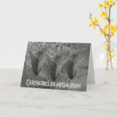 Carcharocles megalodon kaart (Gele Bloem)