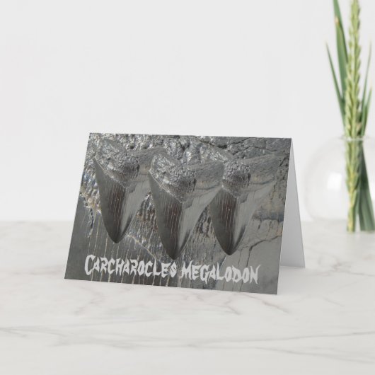 Carcharocles megalodon kaart (Voorkant)