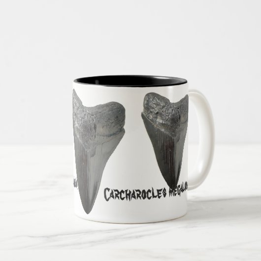 Carcharocles megalodon Tooth Tweekleurige Koffiemok (Voorkant rechts)