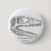 Carcharodontosaurus saharicus schedelknop ronde button 5,7 cm (Voorkant)