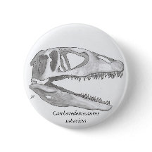 Carcharodontosaurus saharicus schedelknop