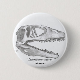 Carcharodontosaurus saharicus schedelknop ronde button 5,7 cm