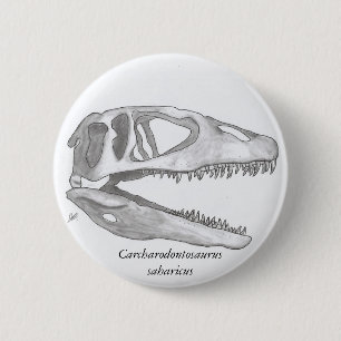 Carcharodontosaurus saharicus schedelknop ronde button 5,7 cm