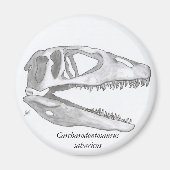 Carcharodontosaurus saharicus schedelmagneet magneet (Voorkant)