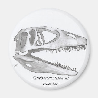 Carcharodontosaurus saharicus schedelmagneet magneet