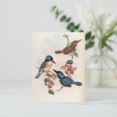 Carcineutes Melanops (Blauwe Kingfisher) Briefkaart (Staand voorkant)