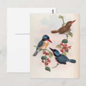 Carcineutes Melanops (Blauwe Kingfisher) Briefkaart (Voorkant / Achterkant)