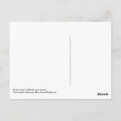 Carcineutes Melanops (Blauwe Kingfisher) Briefkaart (Achterkant)