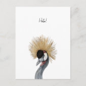 Card (10,8 x 14,2 cm) - Hello! Briefkaart (Voorkant)